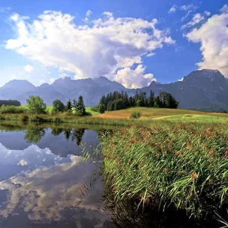 Lechner Am Waldrand Mit Holzfasssauna & Aussendusche, Bergblick Und Naturgarten