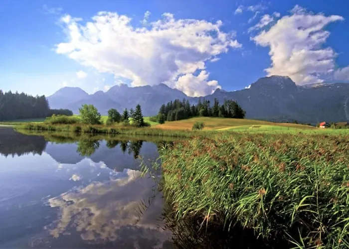 Lechner Am Waldrand Mit Sauna, Bergblick Und Naturgarten